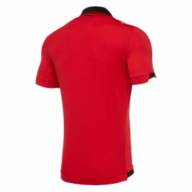 Fußballtrikots Albanien Heim Trikotsatz 2019